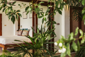 Simple Ways To Be Eco-Friendly From Home - Sattaché
